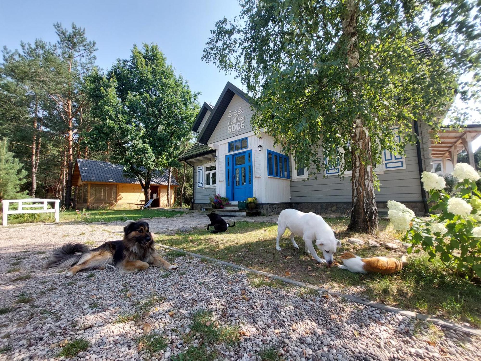 Siedlisko Soce Agroturystyka Villa Exterior photo